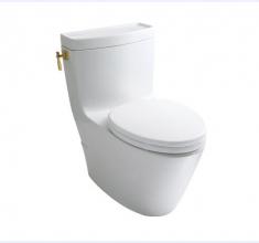 CW872B连体坐便器